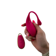 Հեռակառավարվող Վիբրատոր