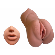 Երկկողմանի մաստուրբատոր