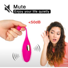 Սմարթֆոնով կառավարվող վիբրատոր