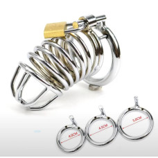 Անդամի կողպեկ